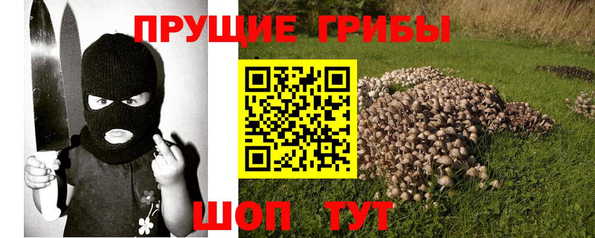 Ялуторовск  Галлюциногенные грибы Psilocybine cubensis  Псилоцибиновые грибы Cubensis  Вход с VPN 